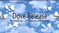 Laramie Lofts Dove Releases